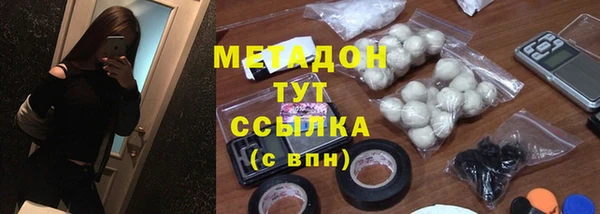 индика Алексин