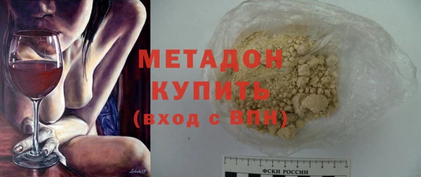 индика Алексин