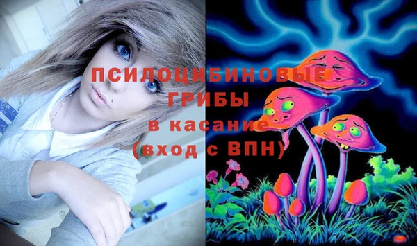 крисы Алексеевка