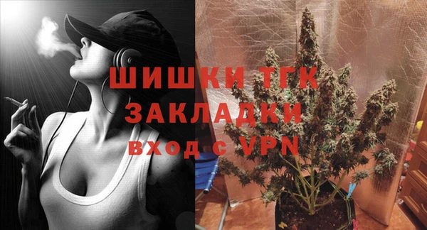 гашик Алзамай