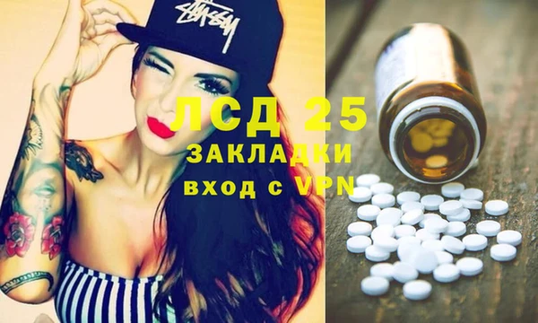 индика Алексин