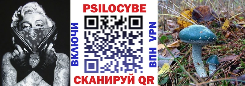 Галлюциногенные грибы Magic Shrooms  мориарти наркотические препараты  Октябрьский 